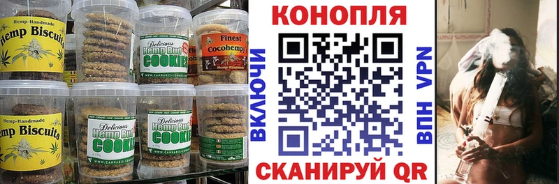 Canna-Cookies марихуана  Гвардейск 