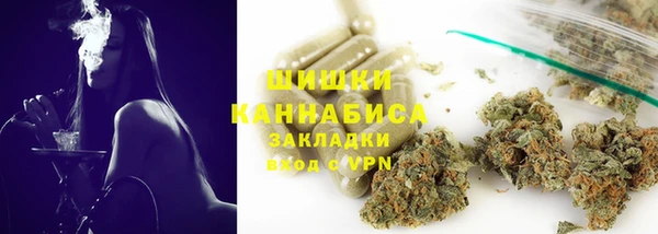 шишки Баксан