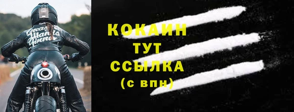 сатива Балахна
