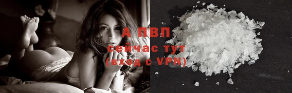 сатива Балахна