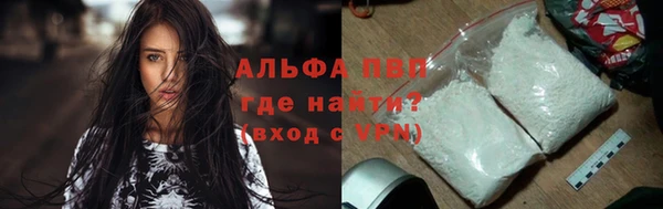 сатива Балахна