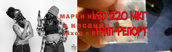 сатива Балахна