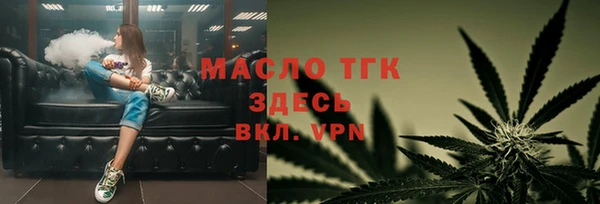 сатива Балахна