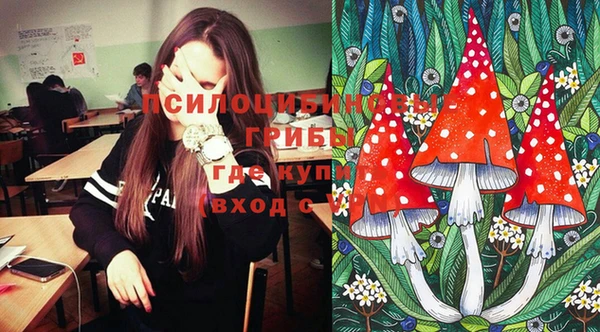 шишки Баксан