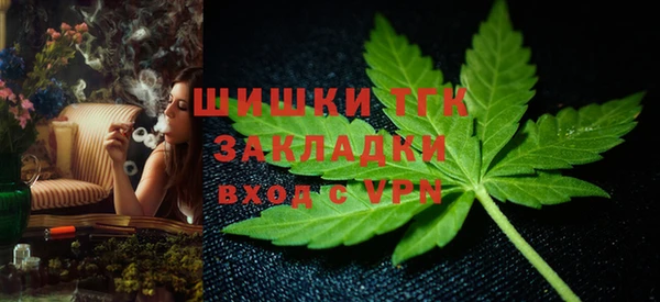 сатива Балахна