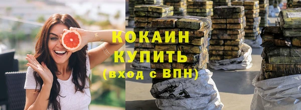 шишки Баксан