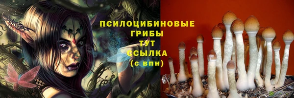 сатива Балахна