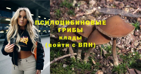 шишки Баксан