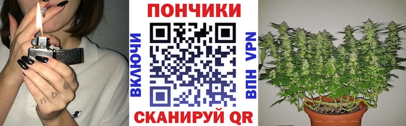 Конопля Bruce Banner  Гвардейск 